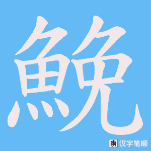 《鮸》的笔顺动画写字动画演示