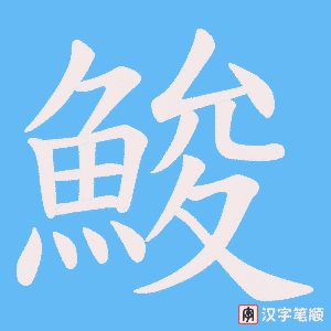 《鮻》的笔顺动画写字动画演示