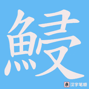 《鮼》的笔顺动画写字动画演示
