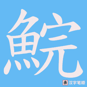 《鯇》的笔顺动画写字动画演示