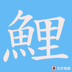 《鯉》的笔顺动画写字动画演示