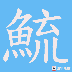 《鯍》的笔顺动画写字动画演示