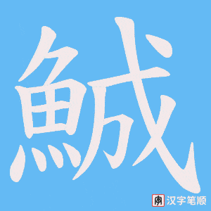 《鯎》的笔顺动画写字动画演示