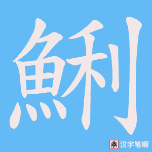 《鯏》的笔顺动画写字动画演示