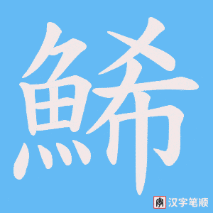 《鯑》的笔顺动画写字动画演示