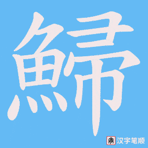 《鯞》的笔顺动画写字动画演示
