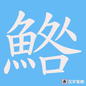 《鯦》的笔顺动画写字动画演示