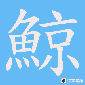 《鯨》的笔顺动画写字动画演示