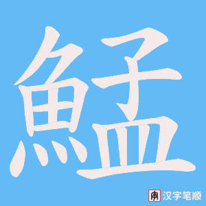 《鯭》的笔顺动画写字动画演示