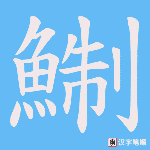 《鯯》的笔顺动画写字动画演示