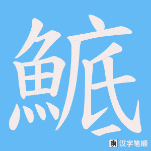 《鯳》的笔顺动画写字动画演示