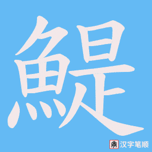 《鯷》的笔顺动画写字动画演示