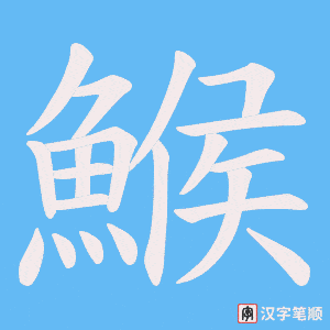 《鯸》的笔顺动画写字动画演示