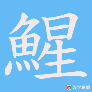 《鯹》的笔顺动画写字动画演示