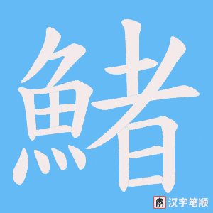 《鯺》的笔顺动画写字动画演示