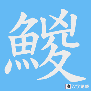 《鯼》的笔顺动画写字动画演示