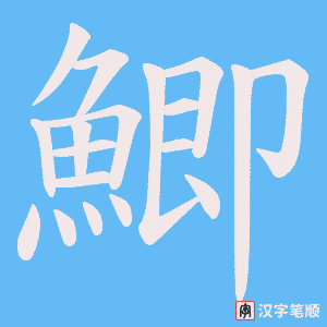 《鯽》的笔顺动画写字动画演示