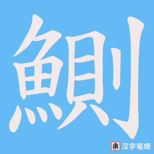 《鰂》的笔顺动画写字动画演示