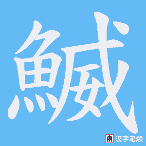 《鰄》的笔顺动画写字动画演示