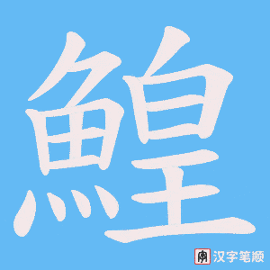 《鰉》的笔顺动画写字动画演示