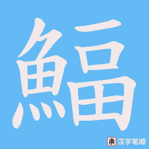 《鰏》的笔顺动画写字动画演示