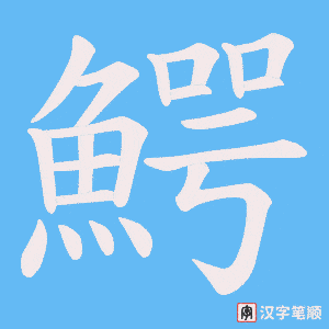 《鰐》的笔顺动画写字动画演示