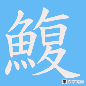 《鰒》的笔顺动画写字动画演示