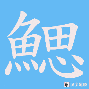 《鰓》的笔顺动画写字动画演示