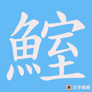 《鰘》的笔顺动画写字动画演示