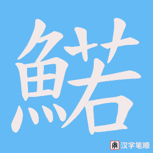 《鰙》的笔顺动画写字动画演示