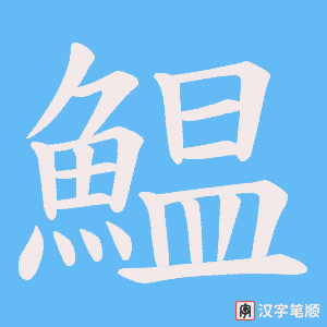 《鰛》的笔顺动画写字动画演示