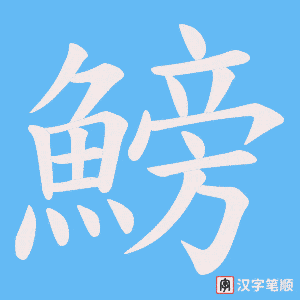 《鰟》的笔顺动画写字动画演示
