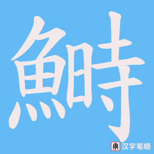 《鰣》的笔顺动画写字动画演示