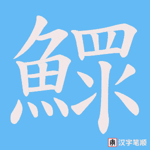 《鰥》的笔顺动画写字动画演示