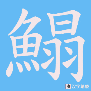 《鰨》的笔顺动画写字动画演示