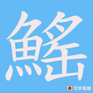 《鰩》的笔顺动画写字动画演示