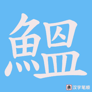 《鰮》的笔顺动画写字动画演示