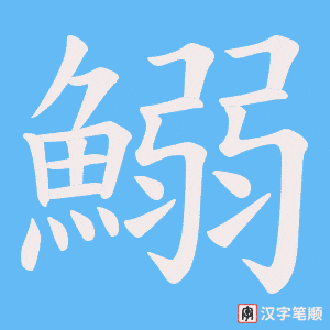 《鰯》的笔顺动画写字动画演示