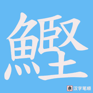 《鰹》的笔顺动画写字动画演示