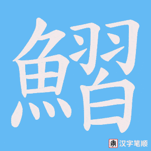 《鰼》的笔顺动画写字动画演示
