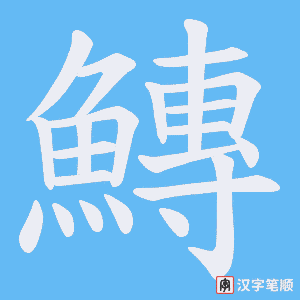 《鱄》的笔顺动画写字动画演示