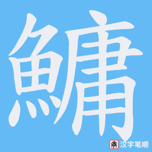 《鱅》的笔顺动画写字动画演示