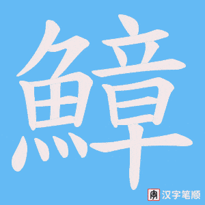 《鱆》的笔顺动画写字动画演示