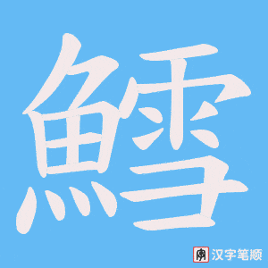 《鱈》的笔顺动画写字动画演示