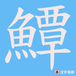 《鱏》的笔顺动画写字动画演示
