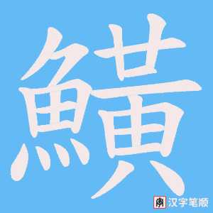 《鱑》的笔顺动画写字动画演示
