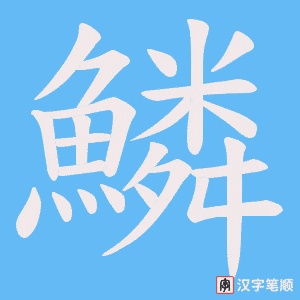 《鱗》的笔顺动画写字动画演示