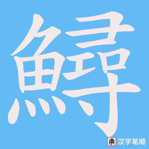 《鱘》的笔顺动画写字动画演示