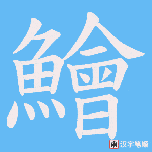 《鱠》的笔顺动画写字动画演示