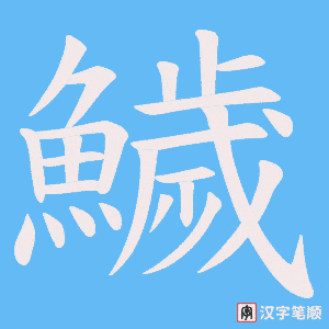 《鱥》的笔顺动画写字动画演示